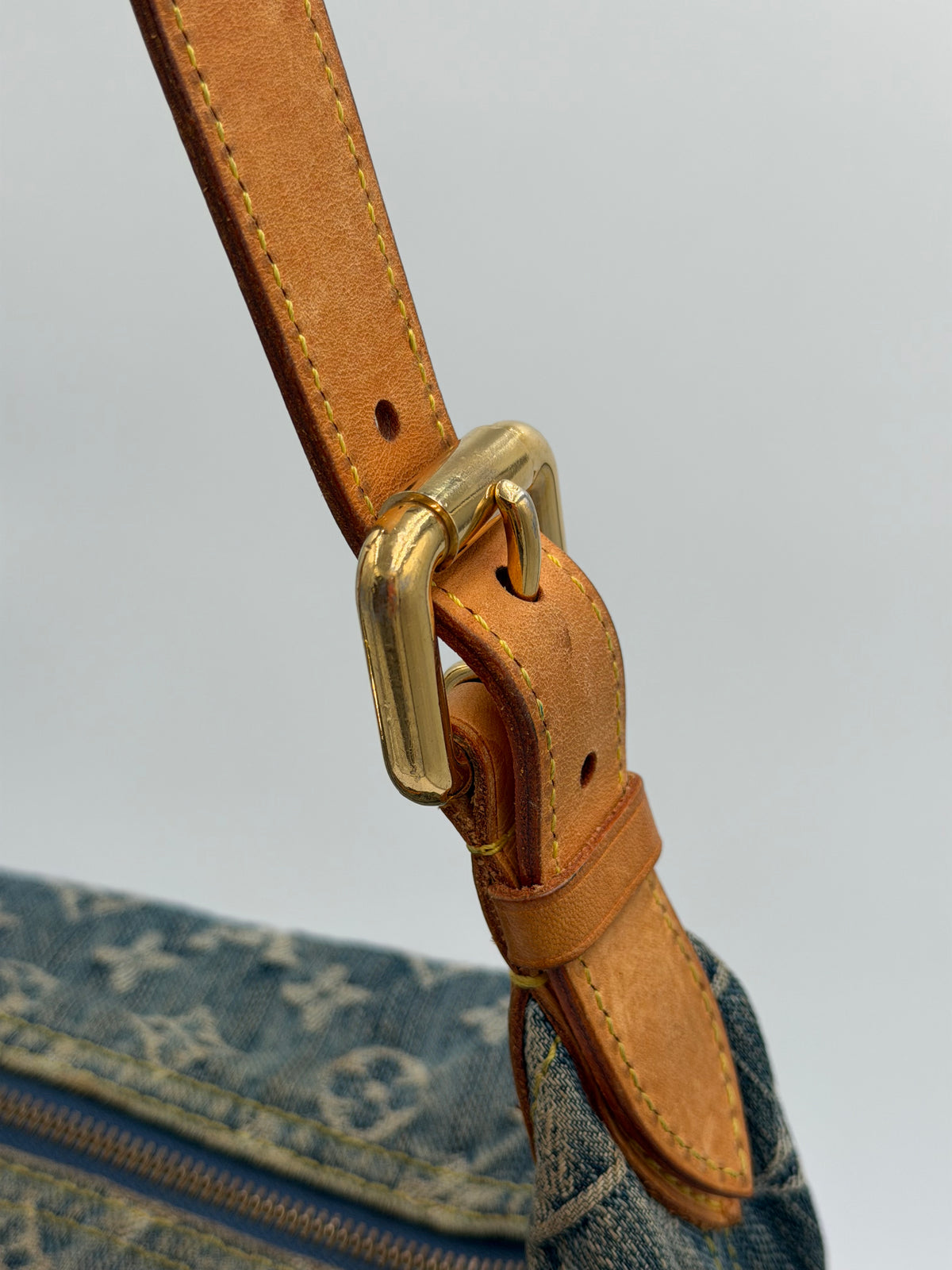 Louis Vuitton Monogram Denim Baggy PM